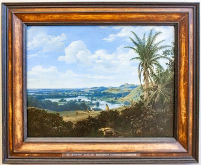 Paisaje Brasileño con Oso Hormiguero